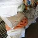 DSC05227