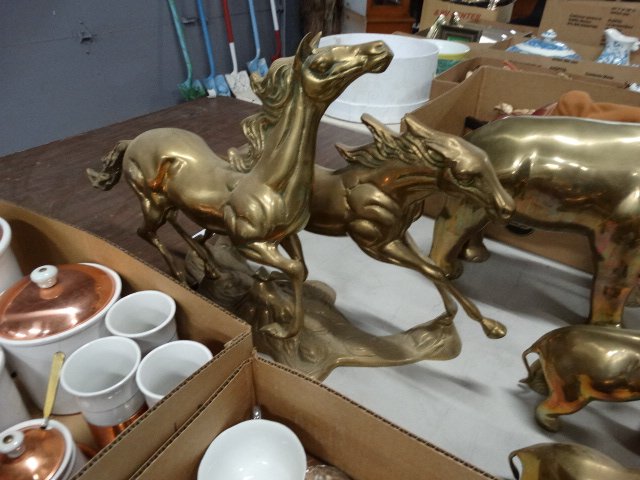 DSC04718