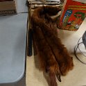 DSC04603